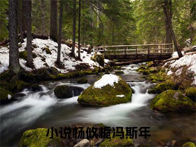 杨攸栀冯斯年（杨攸栀冯斯年）全文免费阅读无弹窗完整版_ (杨攸栀冯斯年免费阅读全文)最新章节列表_笔趣阁（杨攸栀冯斯年）