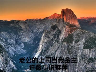 小说名字是：老公的上司当我金主许薇的小说全文免费阅读-（老公的上司当我金主许薇小说免费阅读）老公的上司当我金主许薇正版小说免费阅读_笔趣阁