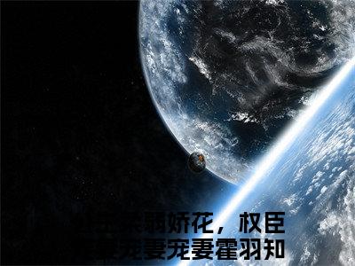 公主柔弱娇花，权臣宠妻宠妻宠妻霍羽小说(公主柔弱娇花，权臣宠妻宠妻宠妻霍羽)小说全文免费阅读_（公主柔弱娇花，权臣宠妻宠妻宠妻霍羽）公主柔弱娇花，权臣宠妻宠妻宠妻霍羽最新章节列表