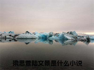 梁思萱陆文景小说免费阅读-梁思萱陆文景无广告全文阅读
