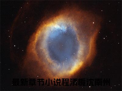 程清栀沈南州（程清栀沈南州）全文免费阅读无弹窗大结局_（程清栀沈南州）已完结全集大结局小说