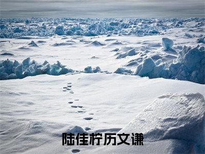 陆佳柠历文谦（陆佳柠历文谦）全文免费阅读无弹窗完整版_ (陆佳柠历文谦免费阅读全文)最新章节列表_笔趣阁（陆佳柠历文谦）
