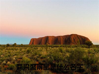 商染盛景呈小说全文，商染盛景呈无弹窗免费阅读