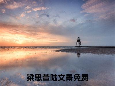 梁思萱陆文景正版小说最新章节在线阅读-完结版小说（梁思萱陆文景）