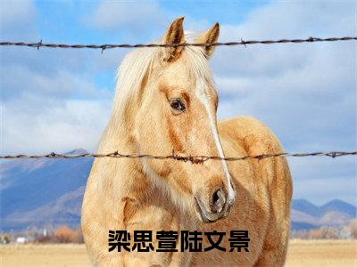 梁思萱陆文景抖音近期热门小说-梁思萱陆文景完结版在线阅读