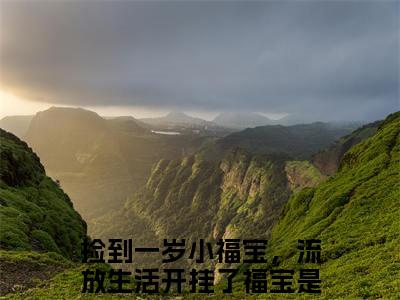 捡到一岁小福宝，流放生活开挂了福宝的小说（捡到一岁小福宝，流放生活开挂了福宝）免费阅读_捡到一岁小福宝，流放生活开挂了福宝小说免费阅读-笔趣阁