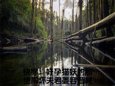 快穿：好孕猫妖的那绝嗣坏夫君姜容昔小说（快穿：好孕猫妖的那绝嗣坏夫君姜容昔）免费观看-快穿：好孕猫妖的那绝嗣坏夫君姜容昔高质量小说推荐阅读