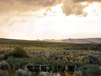 沈以沫霍璟庭全文免费阅读无弹窗大结局_繁星难入故人眼最新章节列表_笔趣阁