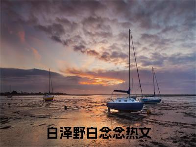 （全文）+（番外）白泽野白念念小说免费阅读-白爷的心尖娇妻又生气了白泽野白念念小说在哪里可以看