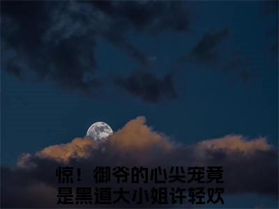 惊！御爷的心尖宠竟是黑道大小姐许轻欢全文免费阅读（惊！御爷的心尖宠竟是黑道大小姐许轻欢无弹窗大结局）_惊！御爷的心尖宠竟是黑道大小姐许轻欢全文免费阅读