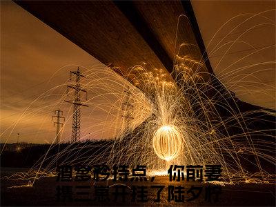 渣爹矜持点，你前妻携三崽开挂了陆夕柠全文免费阅读无弹窗，渣爹矜持点，你前妻携三崽开挂了陆夕柠小说最新章节列表无删减_笔趣阁