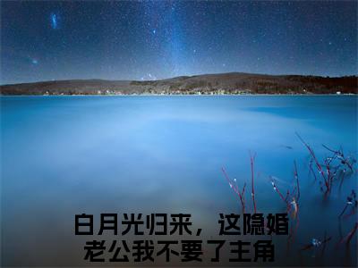 白月光归来，这隐婚老公我不要了（许静安郁辞）全文免费阅读无弹窗大结局_许静安郁辞全文免费阅读_笔趣阁