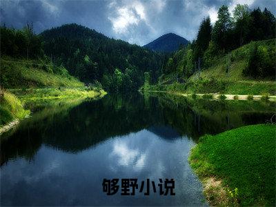 够野（周寒野舒虞）免费全文阅读小说_够野免费在线阅读（周寒野舒虞）小说最新章节列表