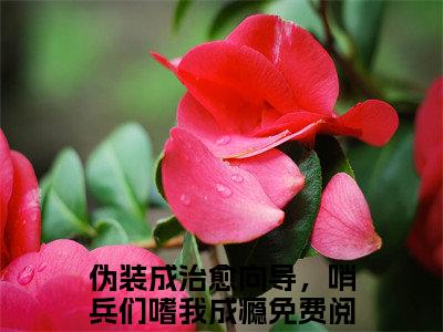 伪装成治愈向导，哨兵们嗜我成瘾（宁莜克莱因）全文免费阅读无弹窗大结局_（伪装成治愈向导，哨兵们嗜我成瘾免费阅读）宁莜克莱因无弹窗最新章节列表