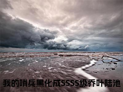 乔叶陆池小说在线阅读（我的哨兵黑化成SSSS级）全文免费阅读无弹窗大结局