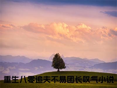 宋淮骁江馨月小说完整版阅读-重生八零追夫不易团长叹气小说全文无删减版