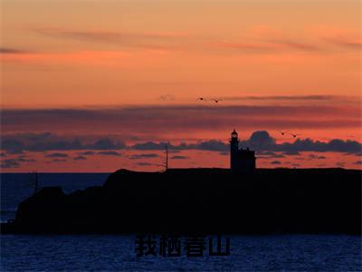 我栖春山小说（许唯旖贺青山）全文免费阅读无弹窗大结局_我栖春山全文免费完结版阅读（许唯旖贺青山）