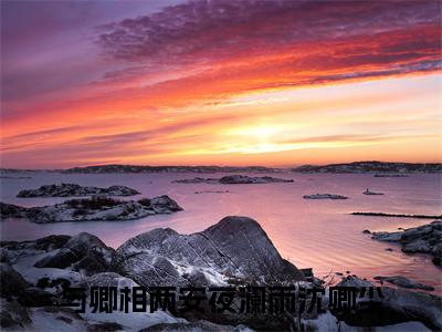 夜澜雨沈卿尘小说全文免费阅读-（与卿相两安）抖音新书热荐夜澜雨沈卿尘全文免费阅读（与卿相两安番外+免费）