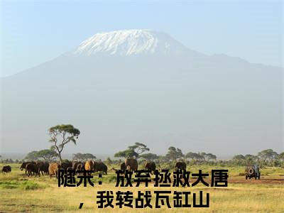 林凡（隧末：放弃拯救大唐，我转战瓦缸山）全文免费阅读无弹窗_（隧末：放弃拯救大唐，我转战瓦缸山）小说全文免费阅读最新章节_笔趣阁