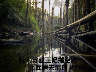 惊！穿越王妃搬空对手库房去流放全文免费阅读_（苏暖暖免费阅读无弹窗）惊！穿越王妃搬空对手库房去流放最新章节在线阅读笔趣阁