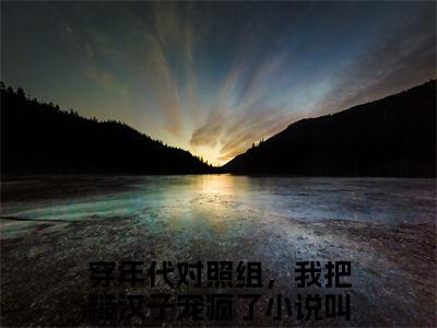 穿年代对照组，我把糙汉子宠疯了是林鸢的小说_主角是穿年代对照组，我把糙汉子宠疯了免费阅读_穿年代对照组，我把糙汉子宠疯了小说免费阅读-笔趣阁