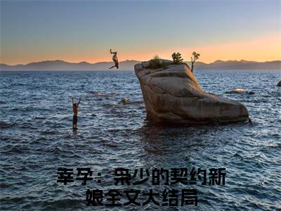 （辛诗雨林海骁）全文免费阅读幸孕：枭少的契约新娘言情小说讲的是什么