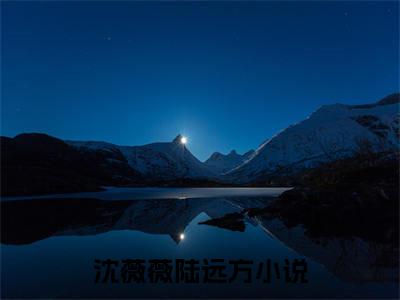 攻略七年，男友青梅结婚了（沈薇薇陆远方）全文免费阅读-小说沈薇薇陆远方最新章节阅读笔趣阁