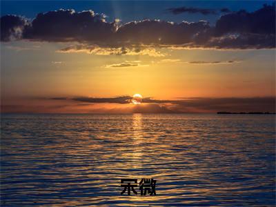 《八零：病弱知青在乡下养崽开摆》宋微（大结局小说全集完整版）宋微小说_八零：病弱知青在乡下养崽开摆全文阅读笔趣阁