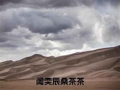 爹爹宠妾灭妻，奶团子转头告状！（闻奕辰桑茶茶）全文免费阅读无弹窗大结局_爹爹宠妾灭妻，奶团子转头告状！全文完整无删减版免费阅读