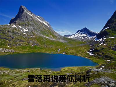 周京泽宋南夕小说（雪落再说爱你）全文免费阅读_（雪落再说爱你）周京泽宋南夕小说最新章节列表