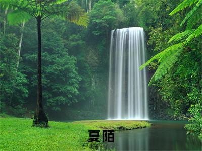 夏陌全文全文免费阅读_怀孕后，我闪了个豪门世家全文最新章节列表笔趣阁（夏陌）