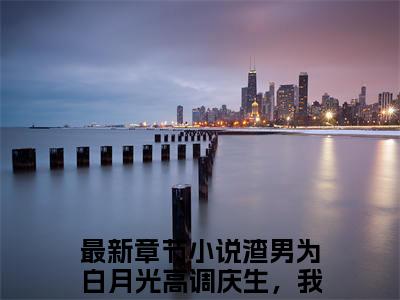 宁南雪（渣男为白月光高调庆生，我捧骨灰杀疯了）全文免费阅读无弹窗大结局_（宁南雪阅读全文大结局）渣男为白月光高调庆生，我捧骨灰杀疯了最新章节列表