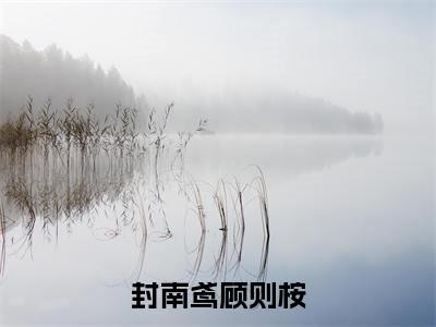 封南鸢顾则桉（这是今天她听过的最讽刺的笑话）全文免费阅读无弹窗大结局_封南鸢顾则桉说免费阅读最新章节列表