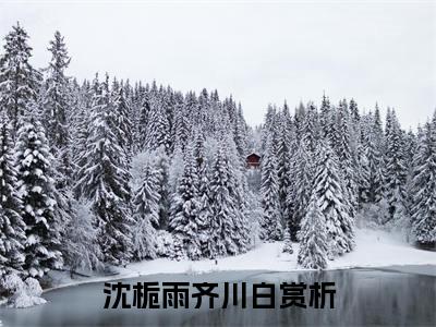 沈栀雨齐川白小说全文在线赏析-最火热点小说最新更新