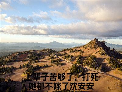 上辈子苦够了，打死她都不嫁了沈安安完整版 上辈子苦够了，打死她都不嫁了沈安安小说全文在线阅读