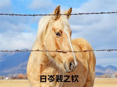 (坠落于死亡游戏间：全文+结局+番外)番外下载(白岑裴之钦)全文免费阅读无弹窗大结局_坠落于死亡游戏间：全文+结局+番外最新章节列表_笔趣阁白岑裴之钦