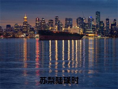 爱意在记忆删除中消散（苏梨陆瑾时小说）全文免费阅读无弹窗大结局_爱意在记忆删除中消散（苏梨陆瑾时）最新章节列表笔趣阁
