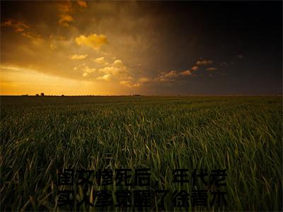 闺女惨死后，年代老实人爹觉醒了徐青木小说免费阅读无弹窗《闺女惨死后，年代老实人爹觉醒了徐青木》_闺女惨死后，年代老实人爹觉醒了徐青木全文阅读