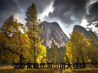 至于这个陆太太，她从来都看不上（温季絮陆亦深）全文免费阅读无弹窗大结局_温季絮陆亦深最新章节列表_笔趣阁