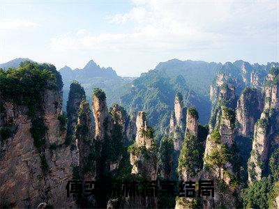 傅奕深林简棠（傅奕深林简棠：结局+番外）全文免费阅读无弹窗大结局_(傅奕深林简棠)最新章节列表_笔趣阁（傅奕深林简棠：结局+番外）