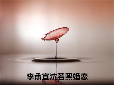休掉替身后女主后悔了：结局+番外李承宜沈若熙（李承宜沈若熙）全文免费阅读无弹窗大结局_休掉替身后女主后悔了：结局+番外李承宜沈若熙最新章节列表_笔趣阁（李承宜沈若熙）
