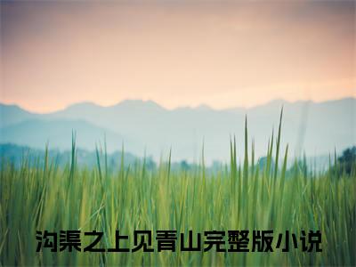 沟渠之上见青山（黎安安裴沉）全文免费阅读无弹窗大结局_沟渠之上见青山全文免费阅读