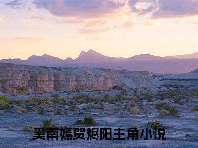 奚南嫣贺烬阳前文（奚南嫣贺烬阳）全文浏览_奚南嫣贺烬阳前文全文浏览