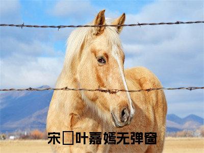 (宋玥叶嘉嫣：全文+结局+番外)番外下载(宋玥叶嘉嫣)全文免费阅读无弹窗大结局_宋玥叶嘉嫣：全文+结局+番外最新章节列表_笔趣阁宋玥叶嘉嫣