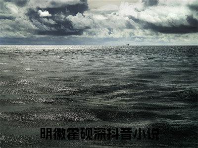 夫人堕胎后，霍总疯了全文免费在线阅读_（明徽霍砚深全文免费阅读无弹窗大结局）夫人堕胎后，霍总疯了最新章节列表笔趣阁