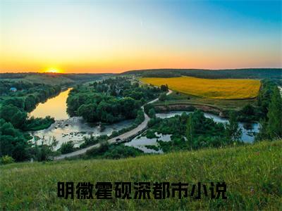 番外+全文夫人堕胎后，霍总疯了：大结局+后续(明徽霍砚深)小说最新列表_夫人堕胎后，霍总疯了(明徽霍砚深)全文阅读无弹窗夫人堕胎后，霍总疯了：大结局+后续