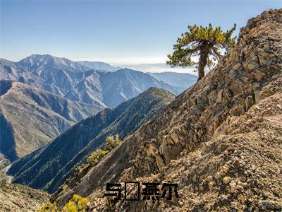 云婳司珩小说全文免费阅读（与婳燕尔）全文免费阅读无弹窗_与婳燕尔小说全文免费阅读