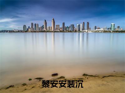 黎安安裴沉在线阅读（沟渠之上见青山）全文免费阅读无弹窗大结局