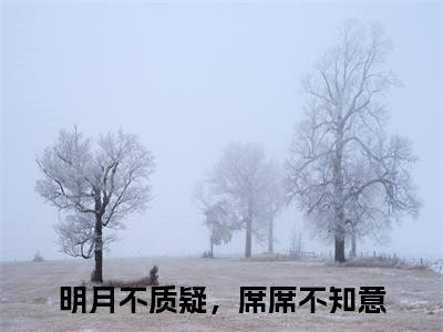 明月不质疑，席席不知意(明月不质疑，席席不知意)全文免费阅读无弹窗大结局_明月不质疑，席席不知意免费阅读无弹窗最新章节列表_笔趣阁