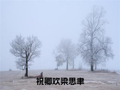 (祝卿欢梁思聿:结局+番外)结局番外（祝卿欢梁思聿）全文免费阅读无弹窗大结局_(祝卿欢梁思聿:结局+番外)最新章节列表_笔趣阁（祝卿欢梁思聿）